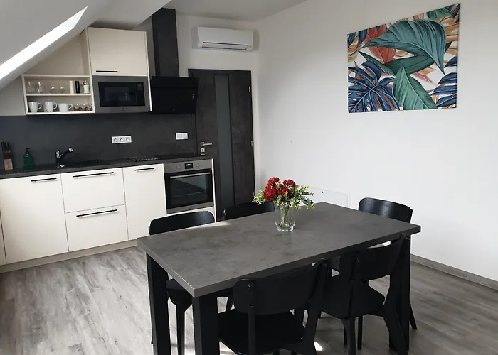 Apartment Miska